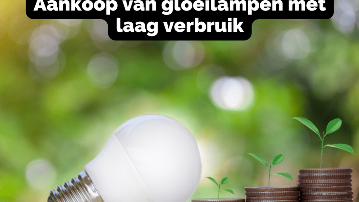 Aankoop van gloeilampen met laag verbruik